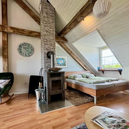 Hof Vierzehnender Im Hohen Venn - 70Qm Fachwerk-Studio - Grosses Wohn-Schlafzimmer Mit Dachterrasse Und Kaminofen - Separate Kueche - Perfekt Fuer Paare - Monschau - Eifel - Hunde Willkommen - Islandpferde Exteriör bild