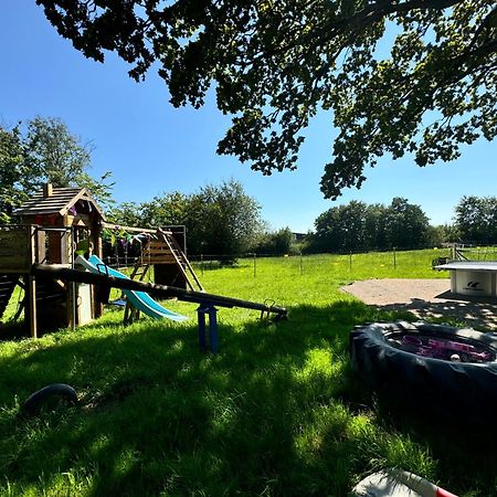 Hof Vierzehnender Im Hohen Venn - 70Qm Fachwerk-Studio - Grosses Wohn-Schlafzimmer Mit Dachterrasse Und Kaminofen - Separate Kueche - Perfekt Fuer Paare - Monschau - Eifel - Hunde Willkommen - Islandpferde Exteriör bild