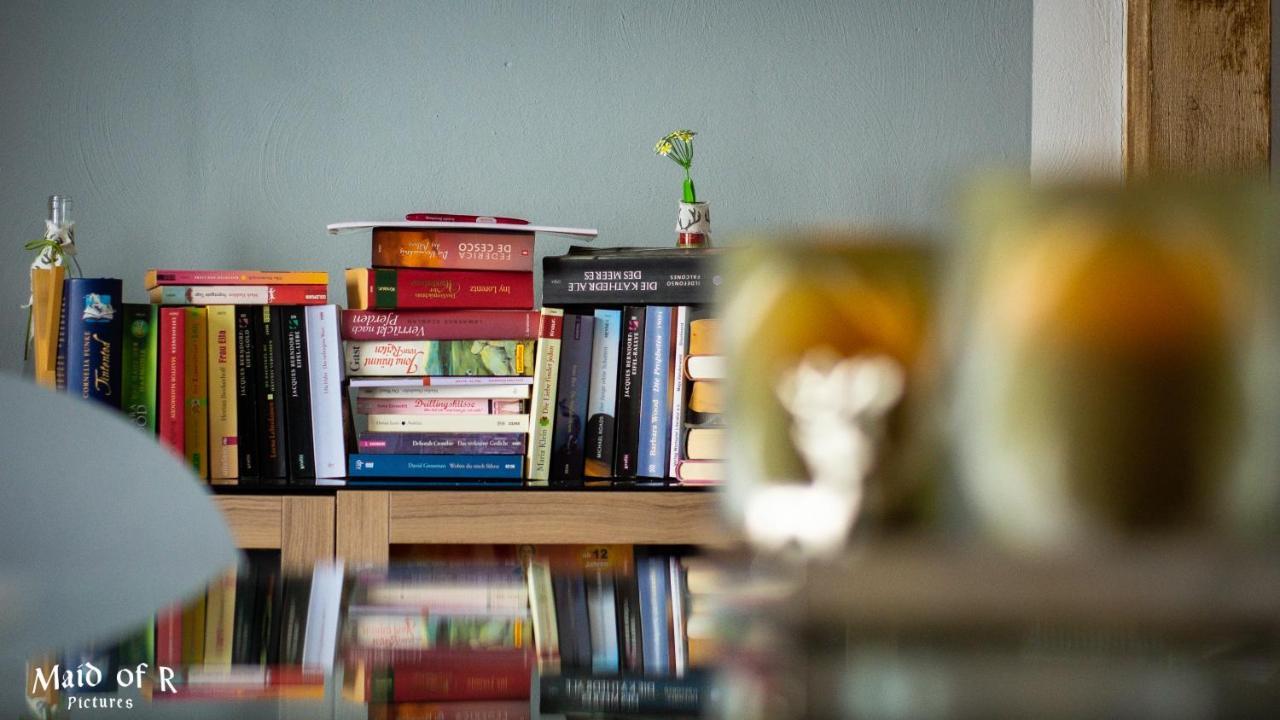 Hof Vierzehnender Im Hohen Venn - 70Qm Fachwerk-Studio - Grosses Wohn-Schlafzimmer Mit Dachterrasse Und Kaminofen - Separate Kueche - Perfekt Fuer Paare - Monschau - Eifel - Hunde Willkommen - Islandpferde Exteriör bild