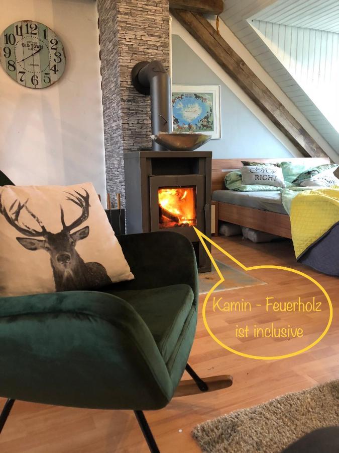 Hof Vierzehnender Im Hohen Venn - 70Qm Fachwerk-Studio - Grosses Wohn-Schlafzimmer Mit Dachterrasse Und Kaminofen - Separate Kueche - Perfekt Fuer Paare - Monschau - Eifel - Hunde Willkommen - Islandpferde Exteriör bild