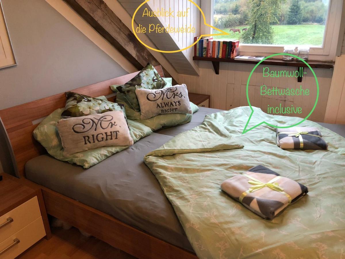Hof Vierzehnender Im Hohen Venn - 70Qm Fachwerk-Studio - Grosses Wohn-Schlafzimmer Mit Dachterrasse Und Kaminofen - Separate Kueche - Perfekt Fuer Paare - Monschau - Eifel - Hunde Willkommen - Islandpferde Exteriör bild