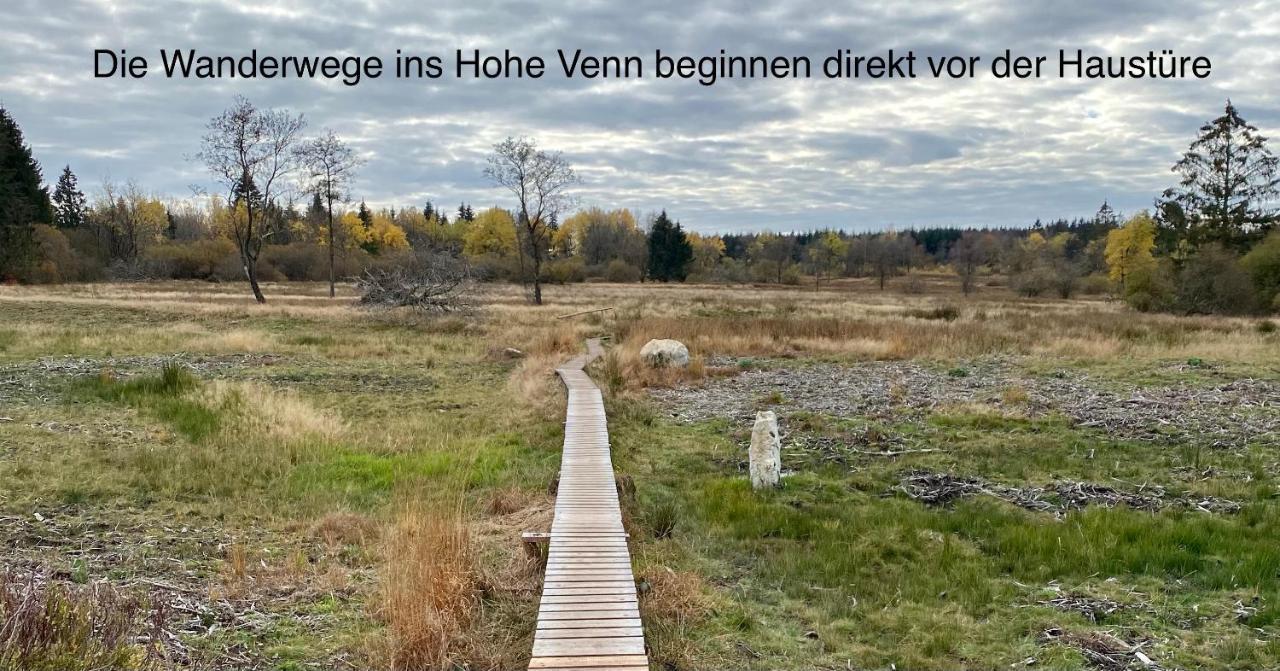 Hof Vierzehnender Im Hohen Venn - 70Qm Fachwerk-Studio - Grosses Wohn-Schlafzimmer Mit Dachterrasse Und Kaminofen - Separate Kueche - Perfekt Fuer Paare - Monschau - Eifel - Hunde Willkommen - Islandpferde Exteriör bild