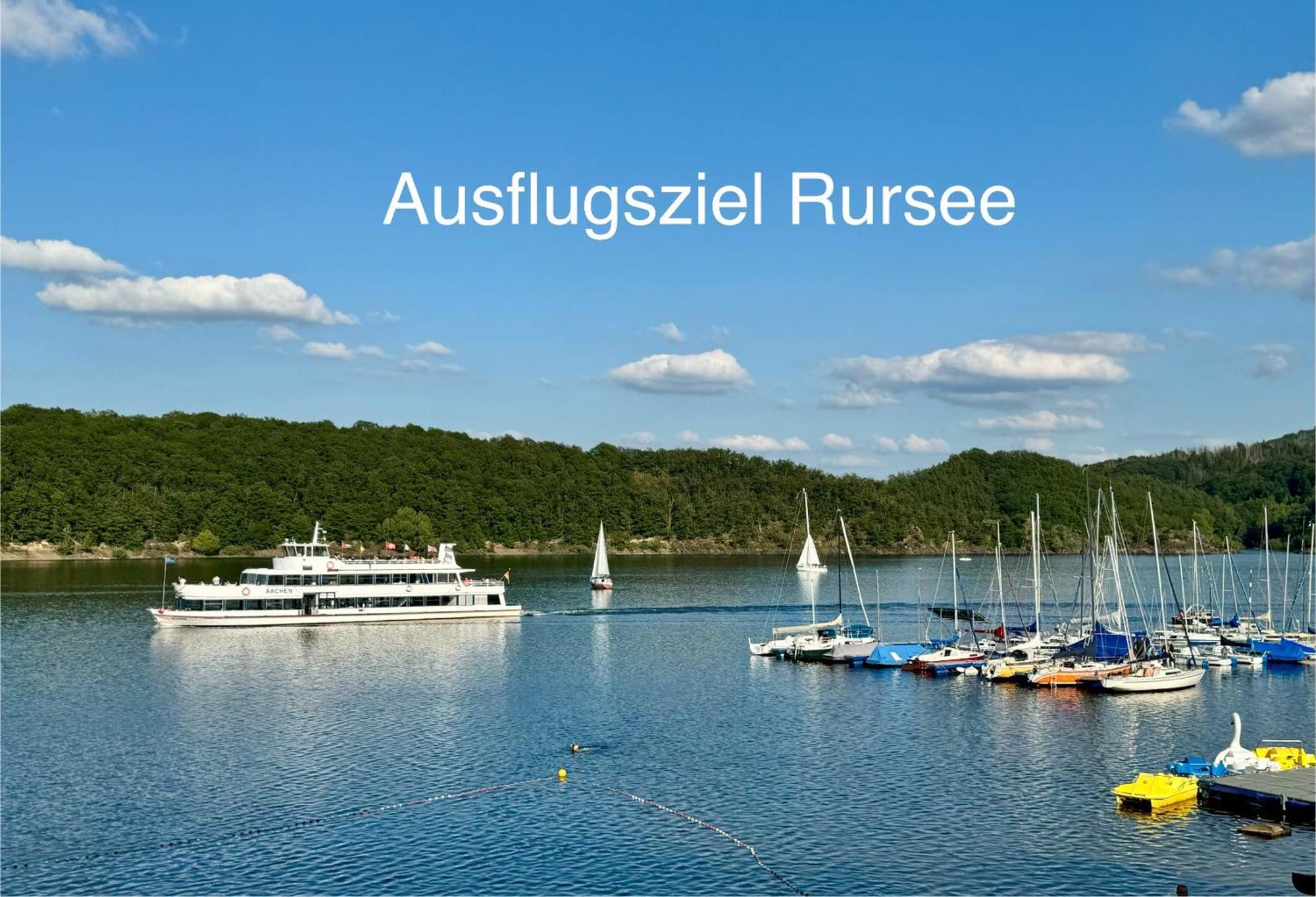 Hof Vierzehnender Im Hohen Venn - 70Qm Fachwerk-Studio - Grosses Wohn-Schlafzimmer Mit Dachterrasse Und Kaminofen - Separate Kueche - Perfekt Fuer Paare - Monschau - Eifel - Hunde Willkommen - Islandpferde Exteriör bild
