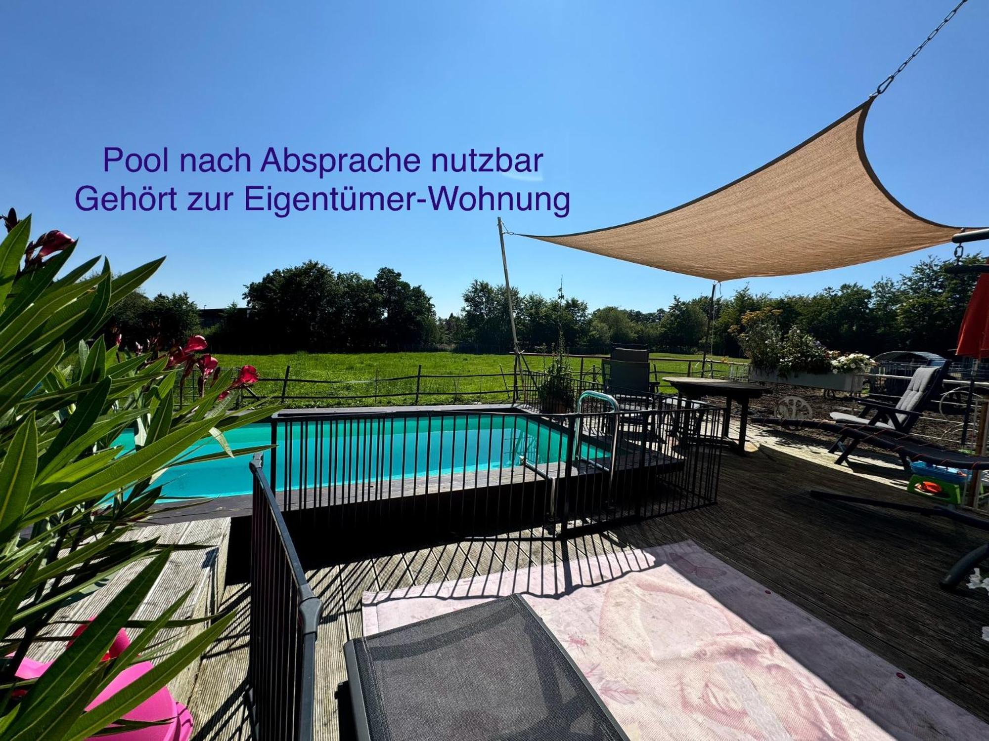 Hof Vierzehnender Im Hohen Venn - 70Qm Fachwerk-Studio - Grosses Wohn-Schlafzimmer Mit Dachterrasse Und Kaminofen - Separate Kueche - Perfekt Fuer Paare - Monschau - Eifel - Hunde Willkommen - Islandpferde Exteriör bild