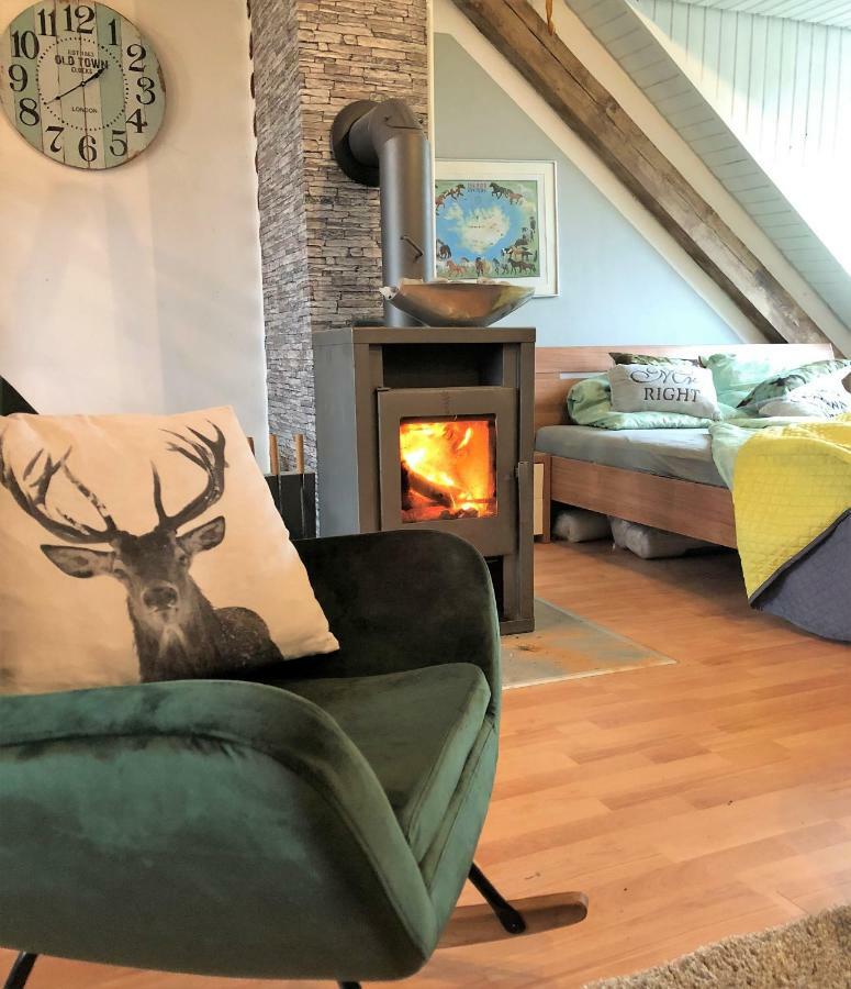 Hof Vierzehnender Im Hohen Venn - 70Qm Fachwerk-Studio - Grosses Wohn-Schlafzimmer Mit Dachterrasse Und Kaminofen - Separate Kueche - Perfekt Fuer Paare - Monschau - Eifel - Hunde Willkommen - Islandpferde Exteriör bild