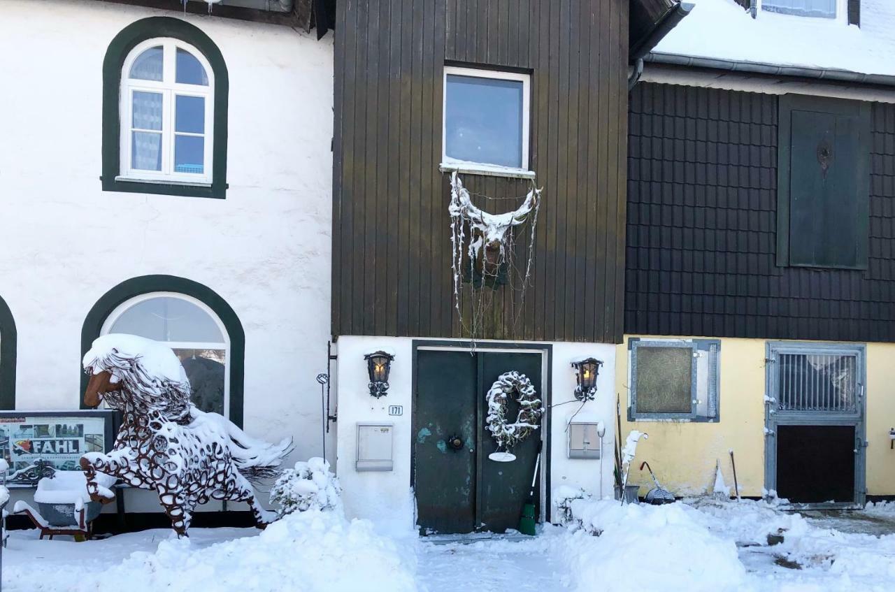 Hof Vierzehnender Im Hohen Venn - 70Qm Fachwerk-Studio - Grosses Wohn-Schlafzimmer Mit Dachterrasse Und Kaminofen - Separate Kueche - Perfekt Fuer Paare - Monschau - Eifel - Hunde Willkommen - Islandpferde Exteriör bild